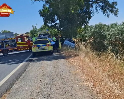 Despiste contra eucalipto vítima mãe e filho no IP8