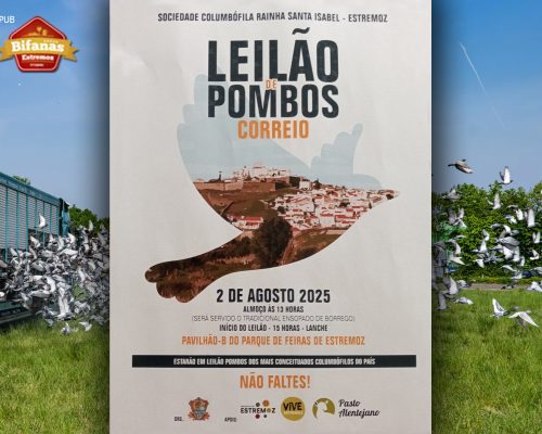 Parque de Feiras e Exposições de Estremoz recebe Leilão de Pombos Correio